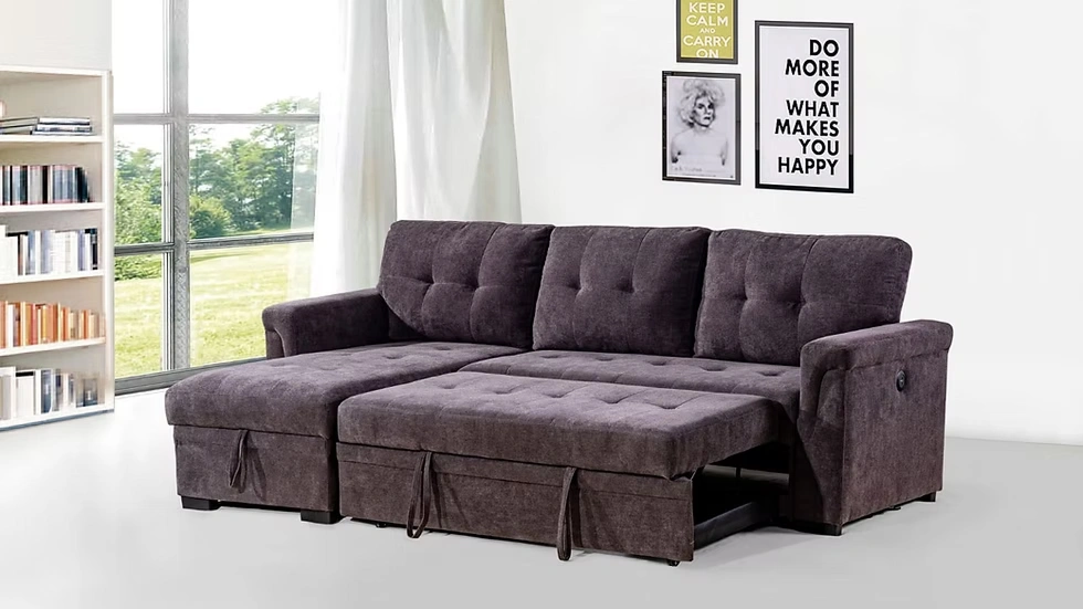 003 Sectional Sofa Bed